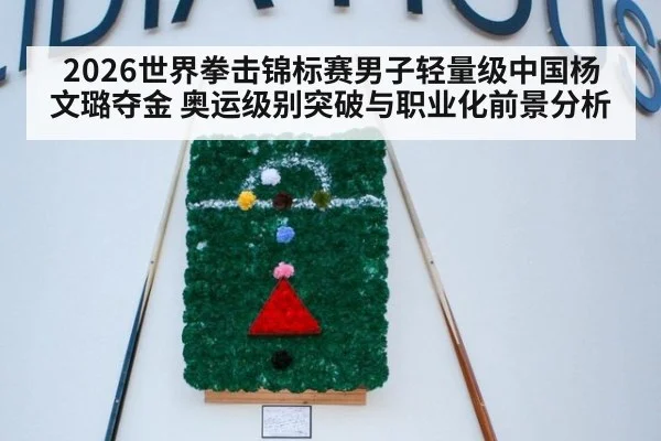 2026世界拳击锦标赛男子轻量级中国杨文璐夺金 奥运级别突破与职业化前景分析